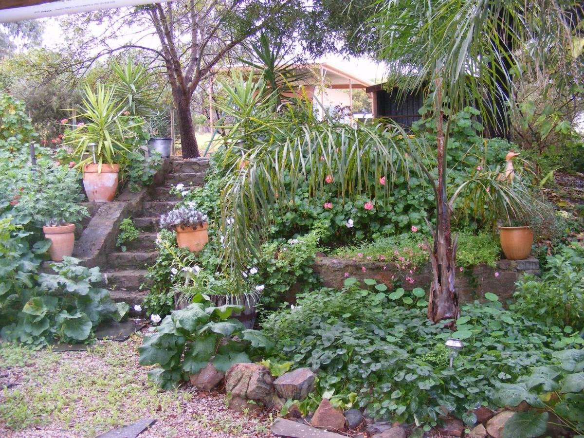 Trevalia Accommodation Penwortham 外观 照片