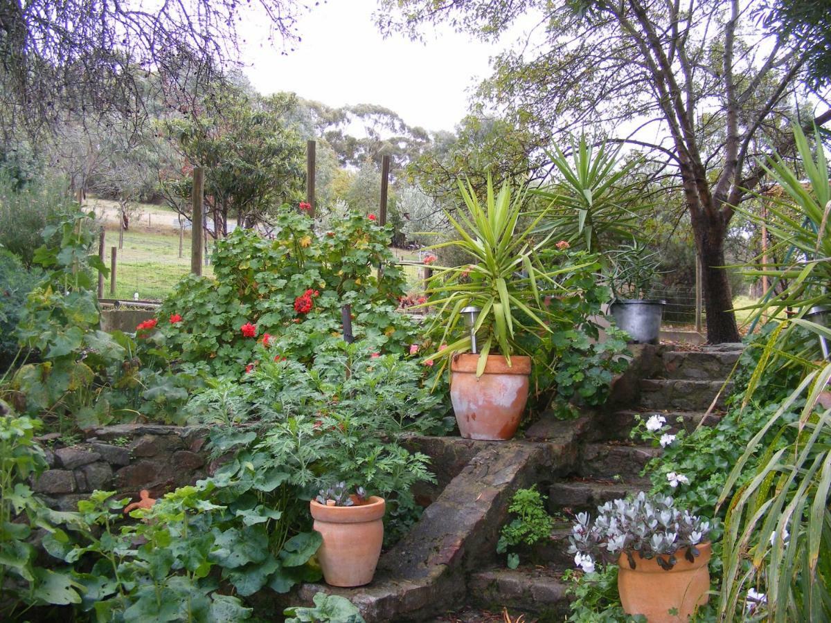 Trevalia Accommodation Penwortham 外观 照片