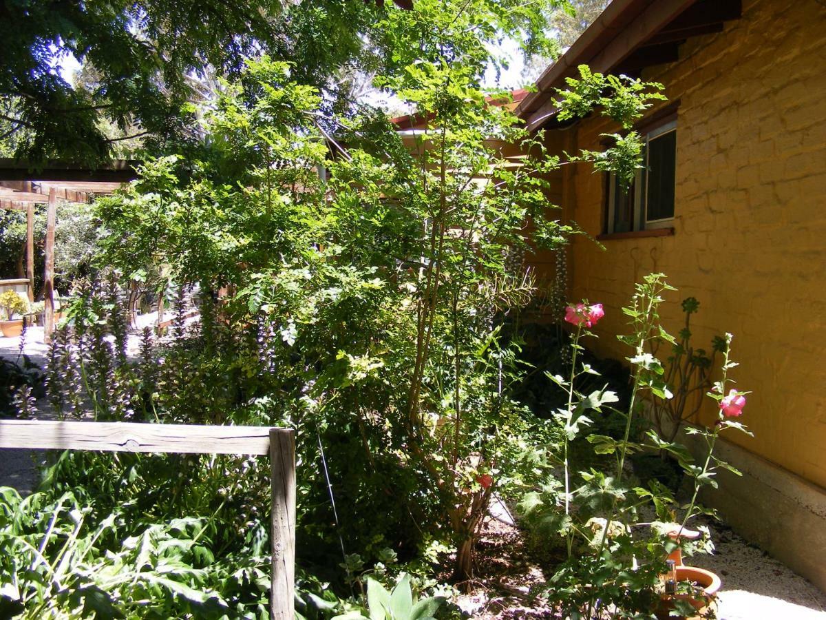 Trevalia Accommodation Penwortham 外观 照片