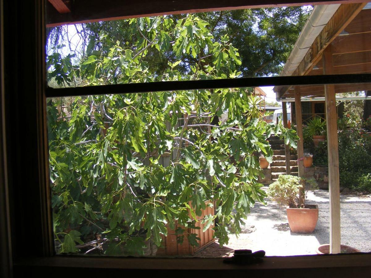 Trevalia Accommodation Penwortham 外观 照片